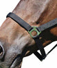 Brown PP Halter