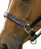 DD Leather Black Lined Halter