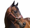 Brown DD Leather Halter