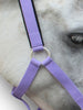 PP Nylex Padded Halter