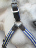 PP With Leather Ends Halter