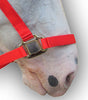 Red PP Halter