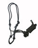 Black Rope Halter with Lead