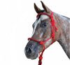 Red Rope Halter with Lead