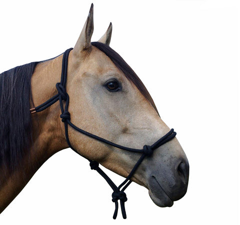 Black Rope Halter with Lead
